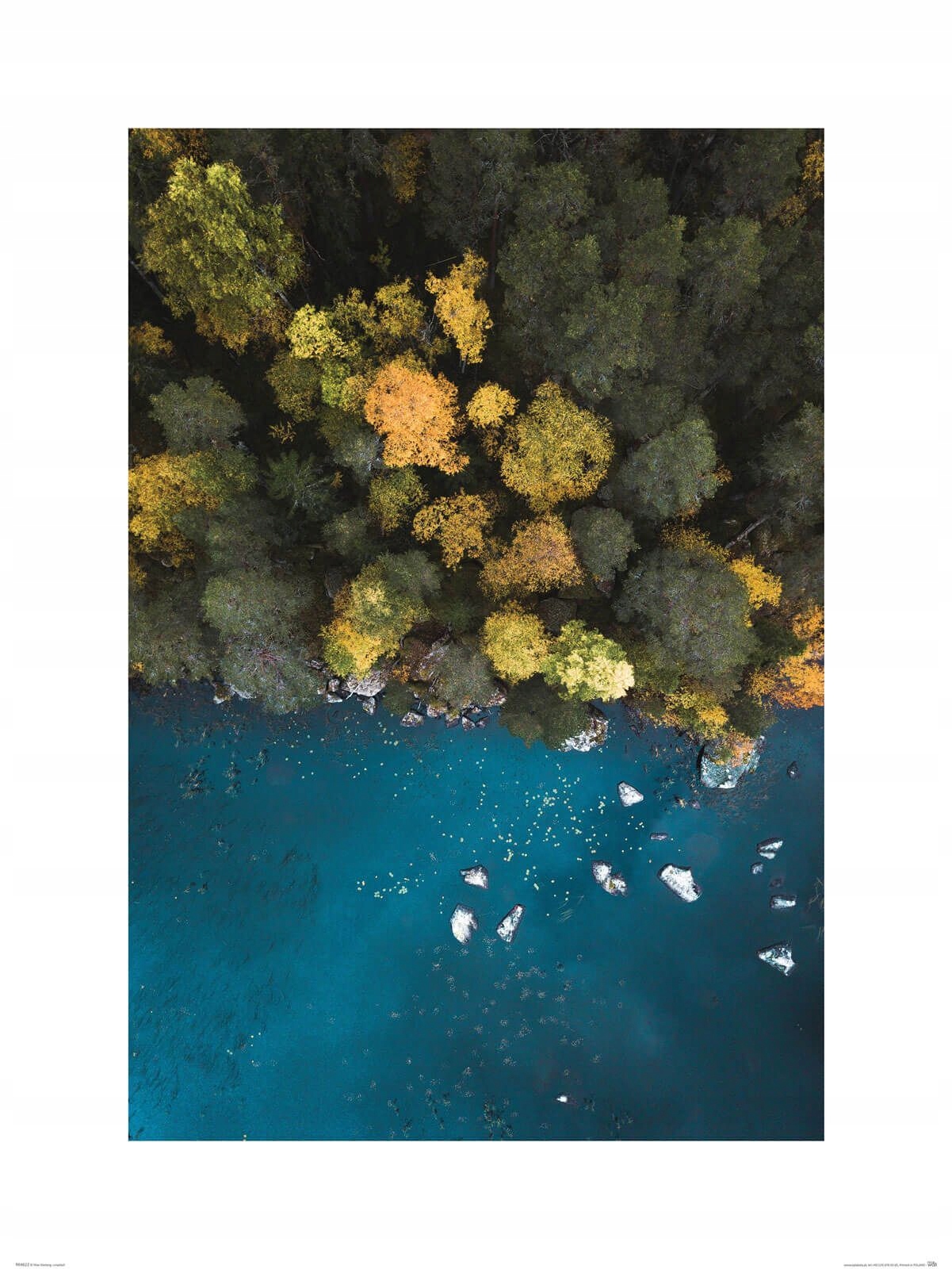 

Las nad jeziorem reprodukcja na ścianę 60x80 cm