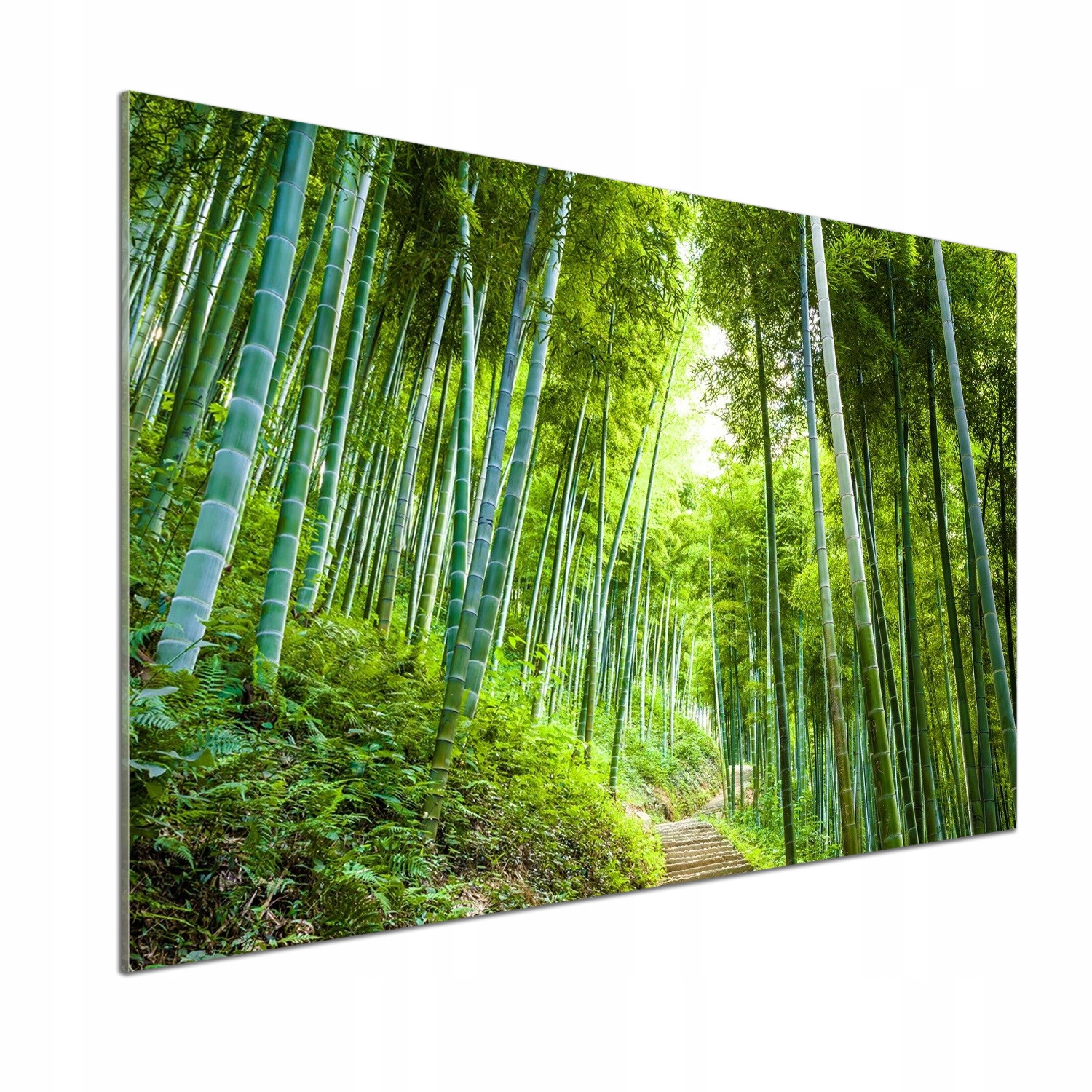 Panel do kuchyne Bambusový les 100 x 70 cm Lepidlo