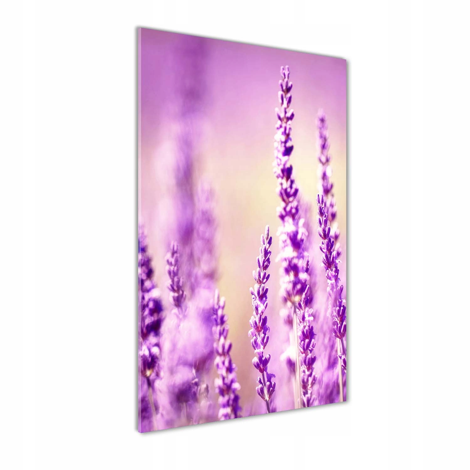 

Foto obraz akrylowy na ścianę Lawenda 60x120 cm