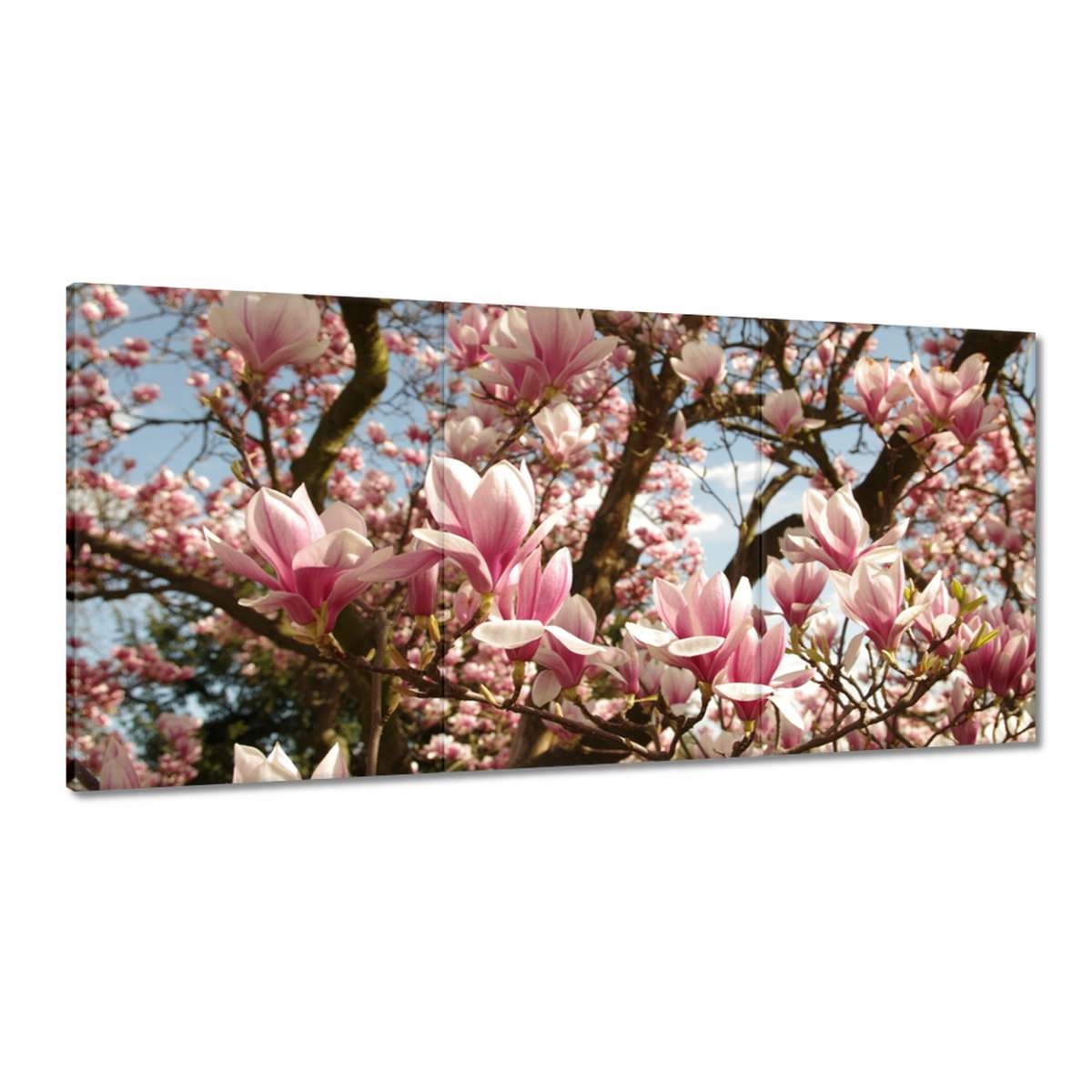 Obrazy 180x90 Magnolie Kvety Modrá