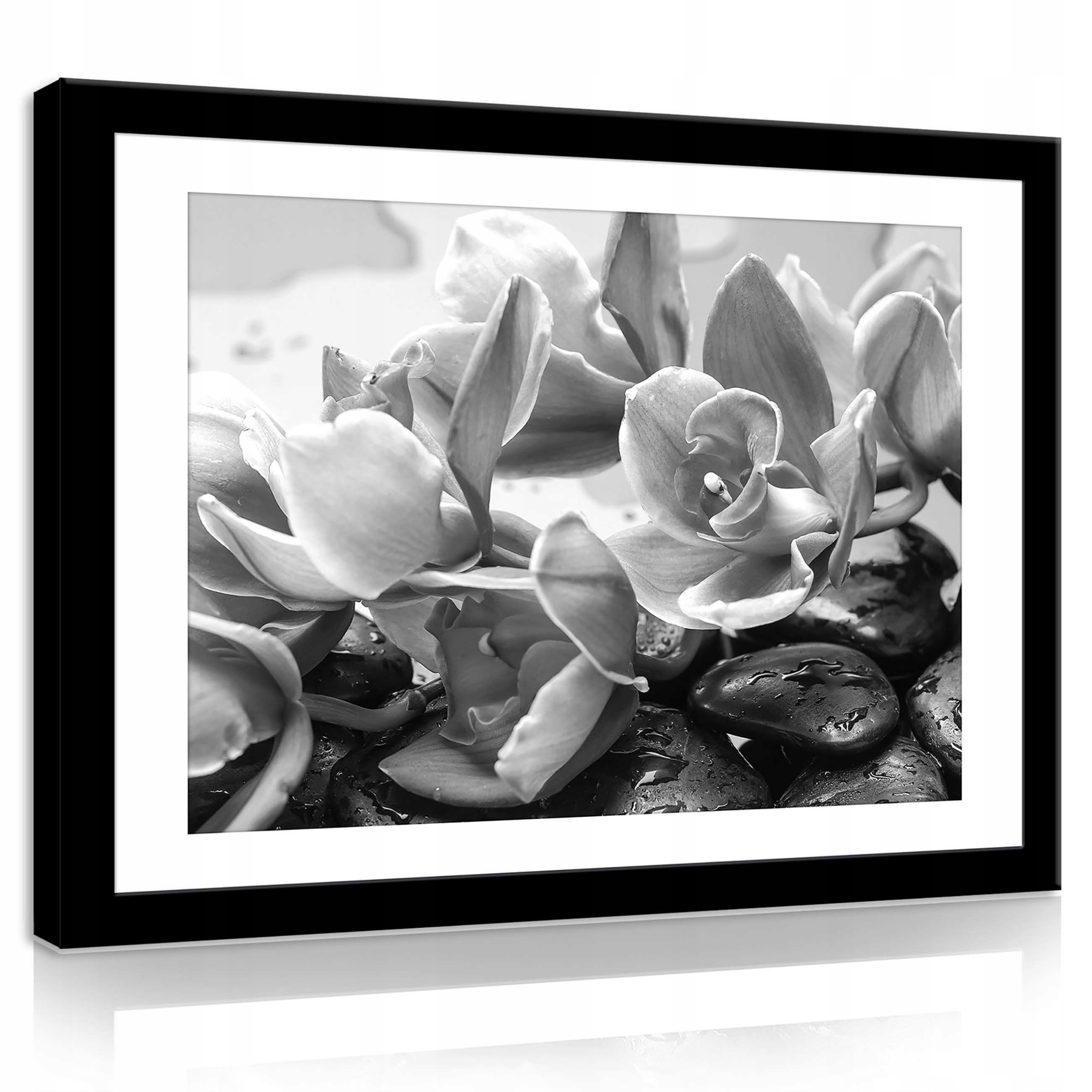 Obraz 80x60 Orchideje květiny kameny klid příroda relaxace černobílé
