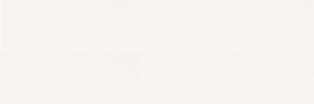 PS40 WHITE MICRO 39,8X119,8 G1 biały NT098-001-1 [