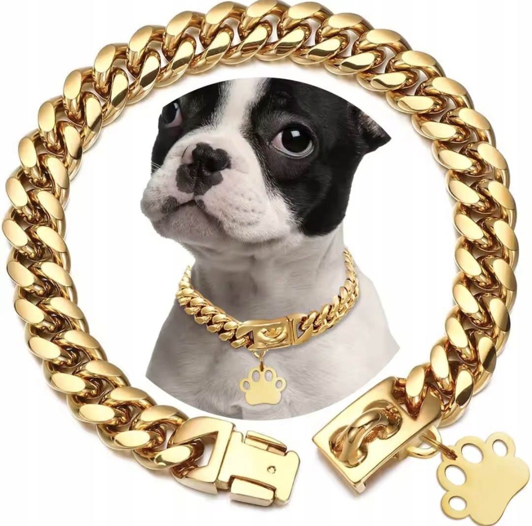 Złota Metalowa Obroża Dla Psa Bardzo Masywna Premium 40cm 16 inch