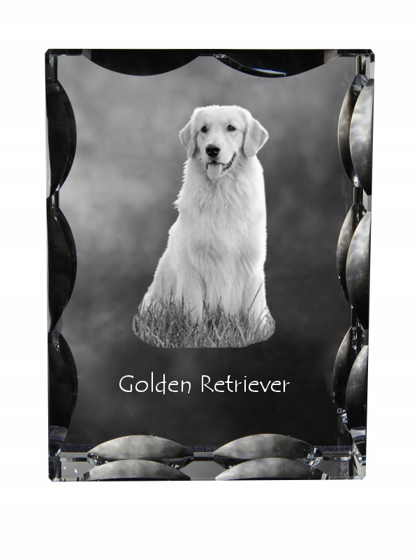 Zlatý retriever fotografia psa v ozdobnom kryštáli, suvenír, dekorácia domu