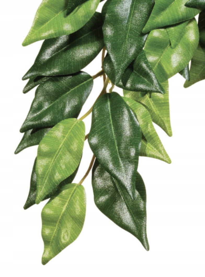 Levně Umělá rostlina – Silk Ficus, L