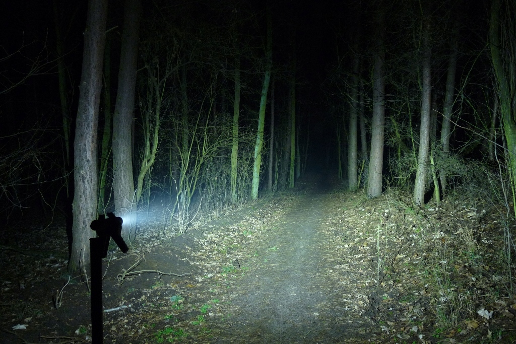 Optyka ROWER do lampki S21B dioda SST-40 EAN (GTIN) 4512770547365