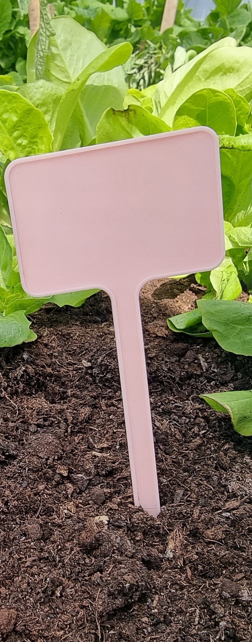 

Tabliczki Etykiety Do Roślin 100 szt. pastel. róż