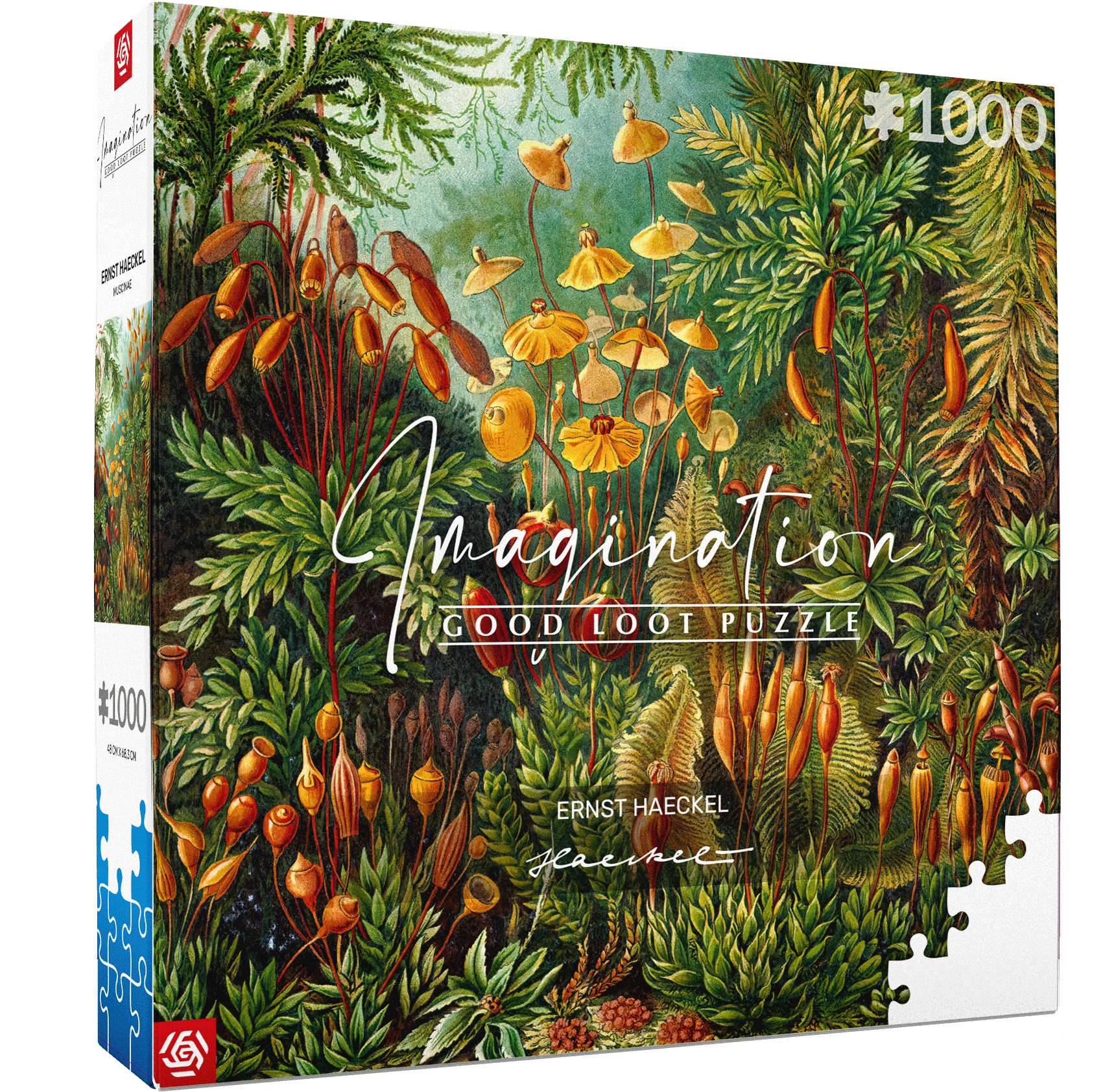 

Puzzle Imagination Ernst Haeckel Miscinae 1000