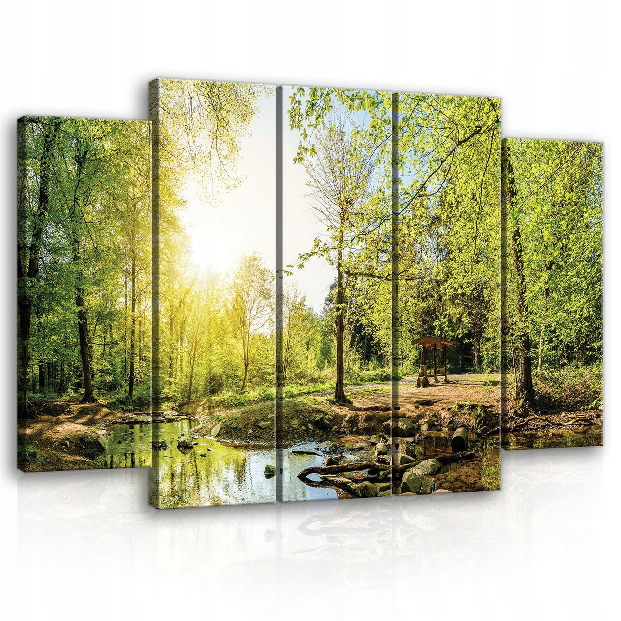 Obraz 150x100 Les potok rieka príroda zelená slnko krajina harmónia