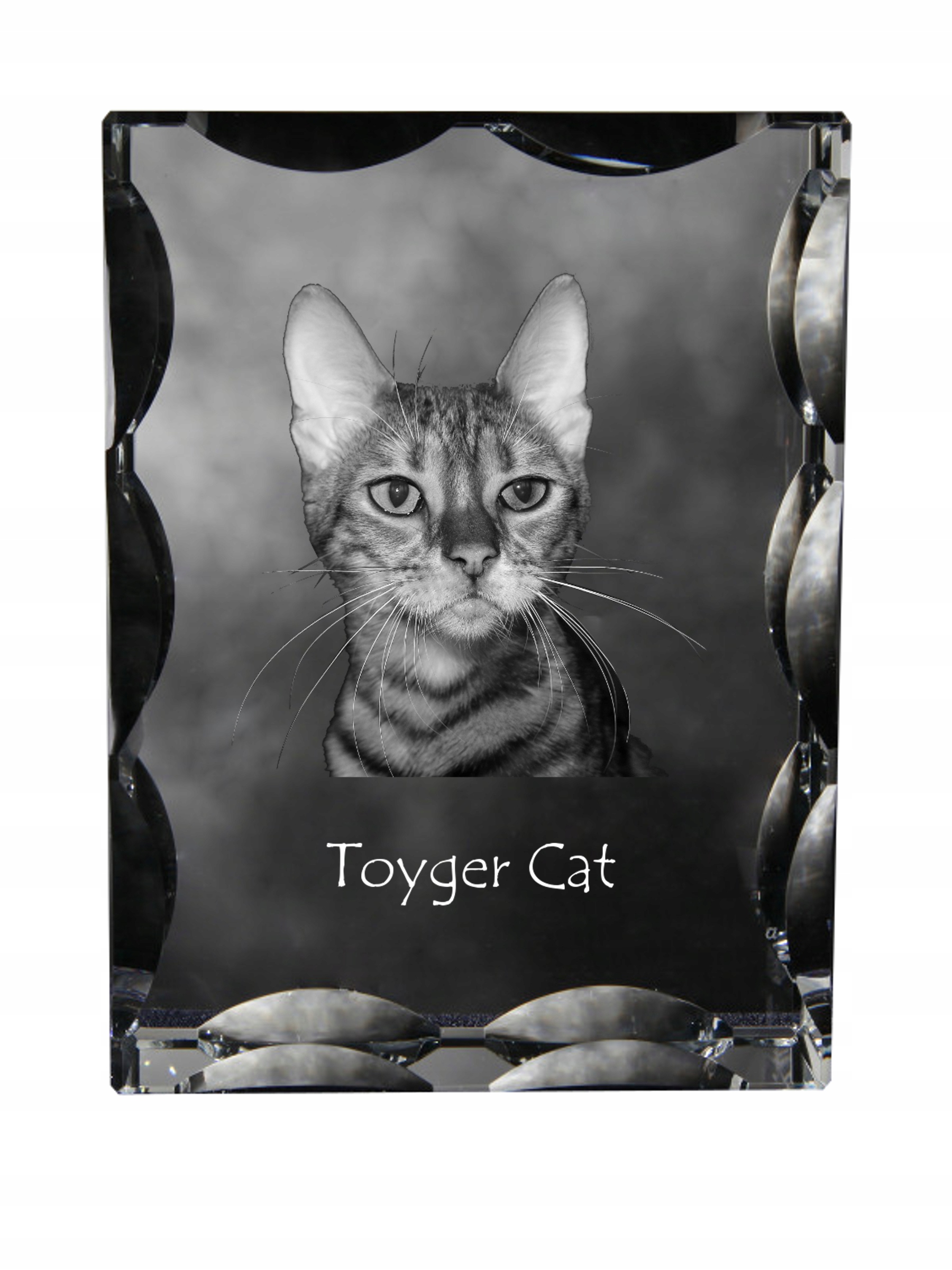 Kot toyger kryształ ze zdjęciem kota, szklana statuetka ze zdjęciem, wyją