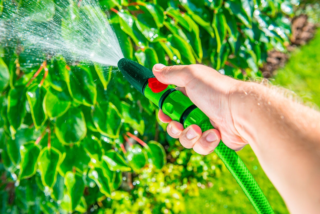 ZRASZACZ PROSTY ZŁĄCZKI PRZYŁĄCZE 1/2 + KOŃCÓWKI EAN (GTIN) 5902062037831