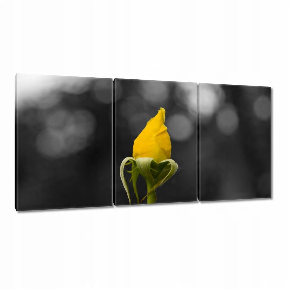 

Obrazy 120x60 Żółta różyczka