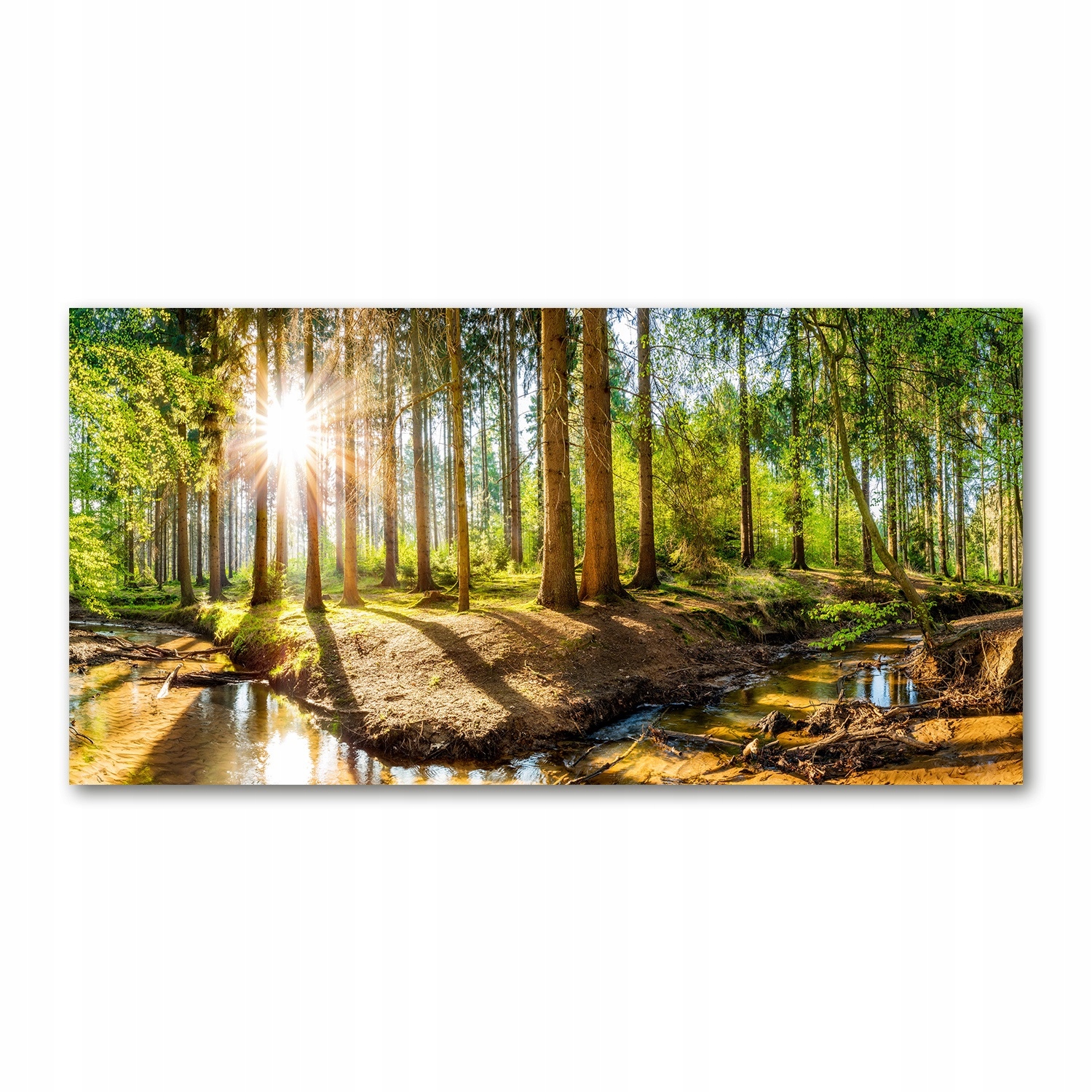 

Foto-obraz akrylowy Panorama las zdjęcie 140x70 cm
