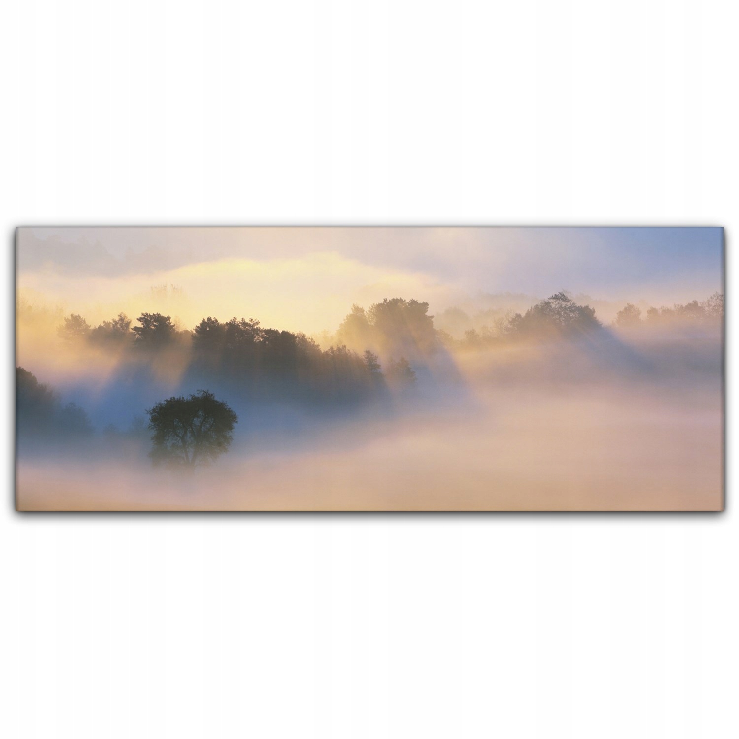

Canvas płótno do sypialni 125x50 Jesień Mgła Las