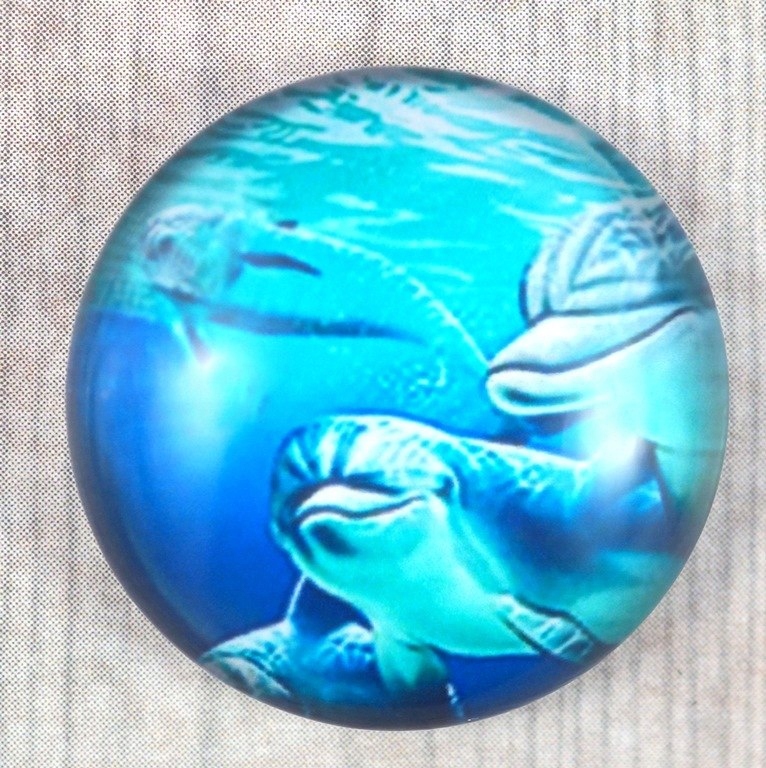 Kaboszon Szklany Delfin 18 mm.