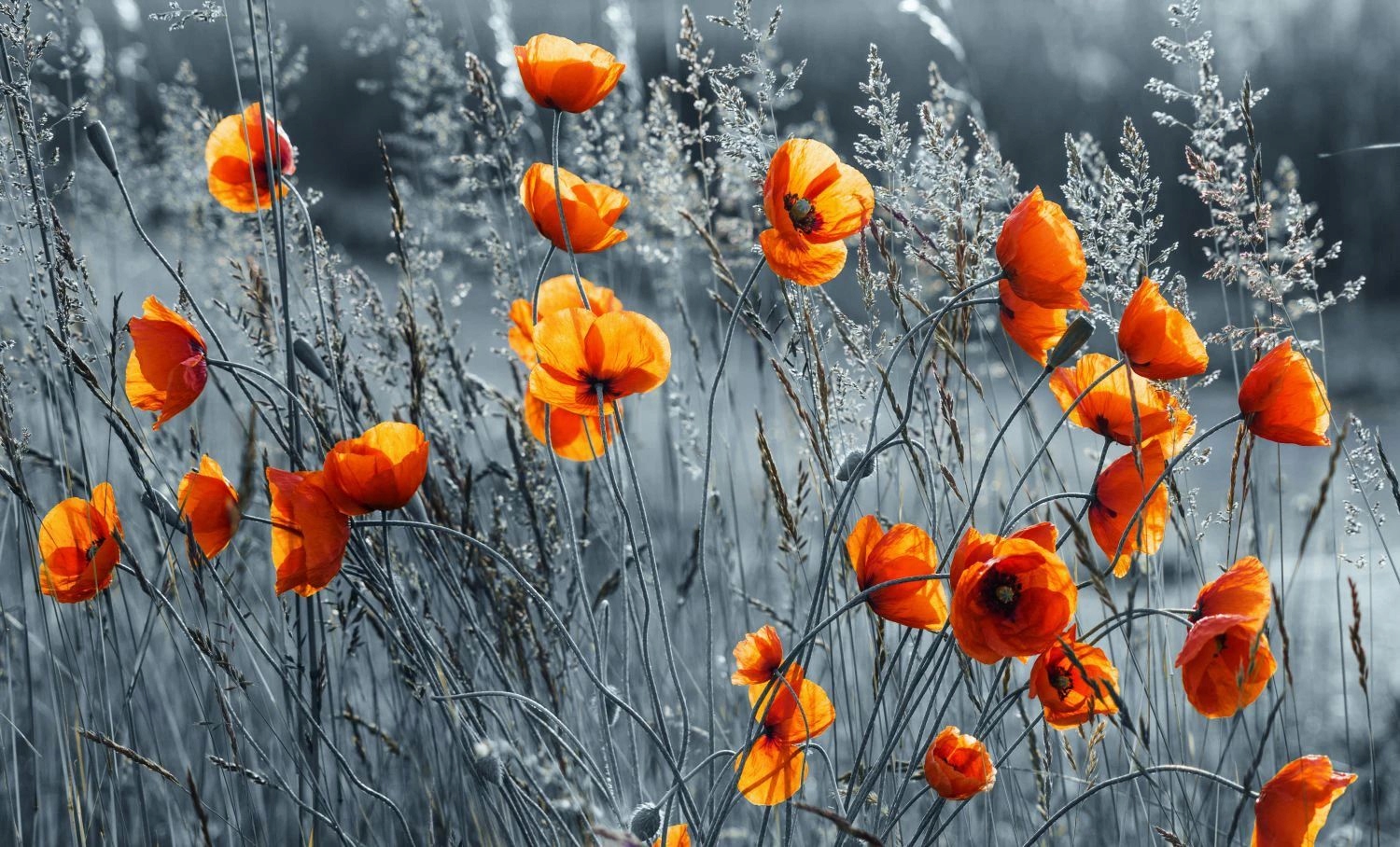 Magnetická podložka Maskovač radiátoru Ozdobná krytka na radiátory 60x100