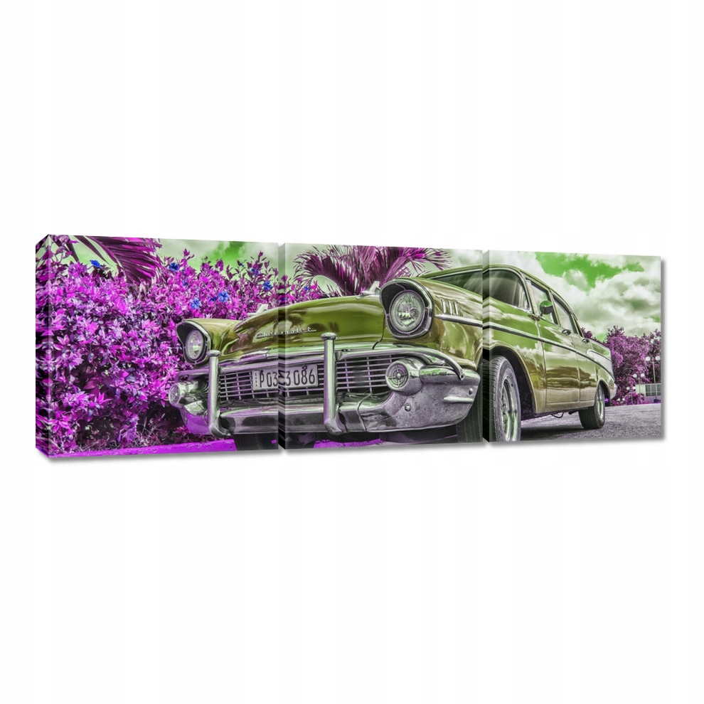 

Obrazy 60x20 Zabytkowy Chevrolet