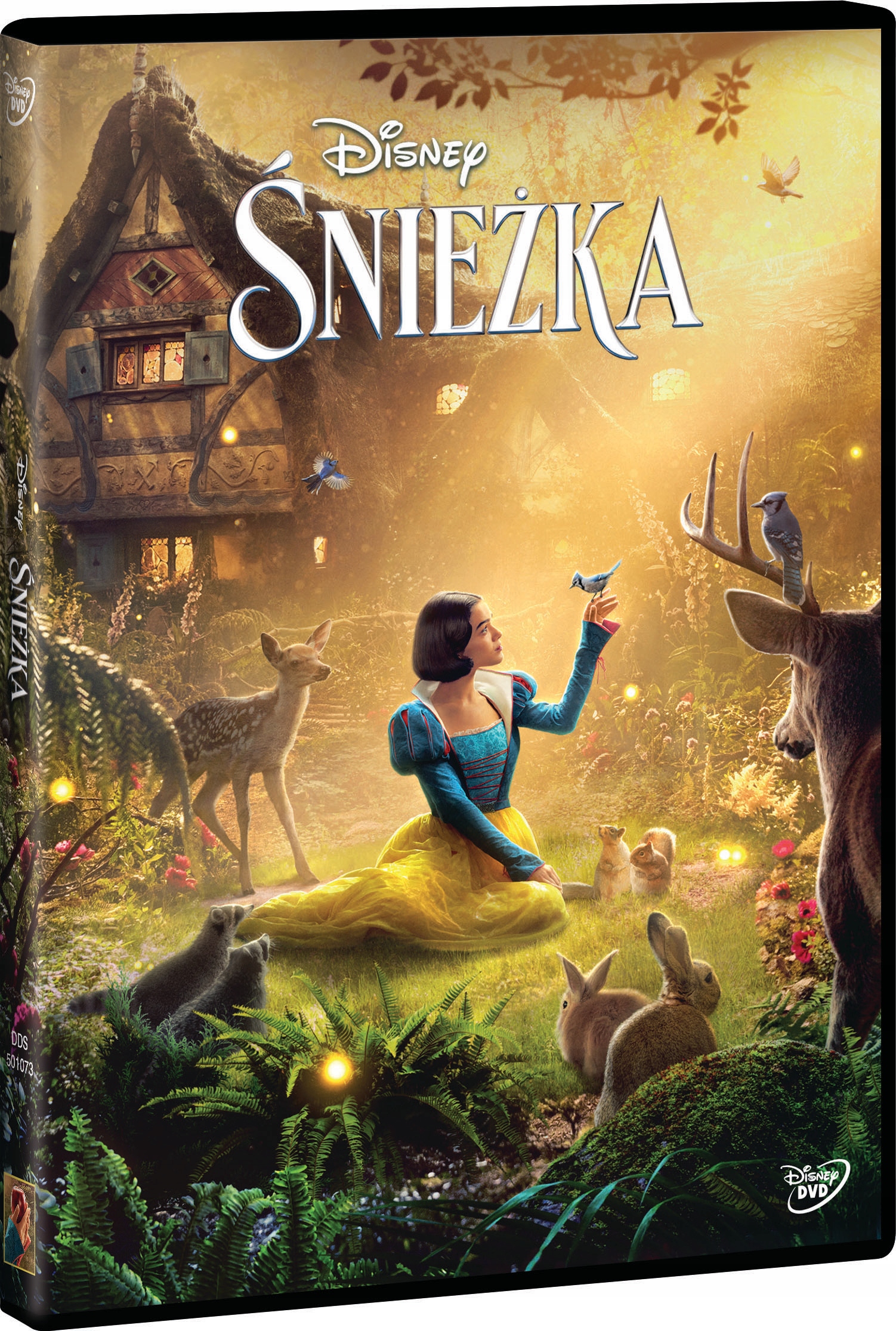 ŚNIEŻKA (2025) (DVD)