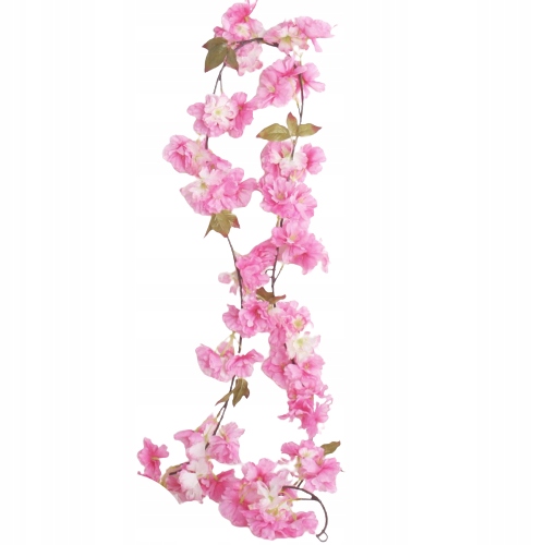 

Girlanda Zwis Wiśni zwisająca Wiśnia wisteria