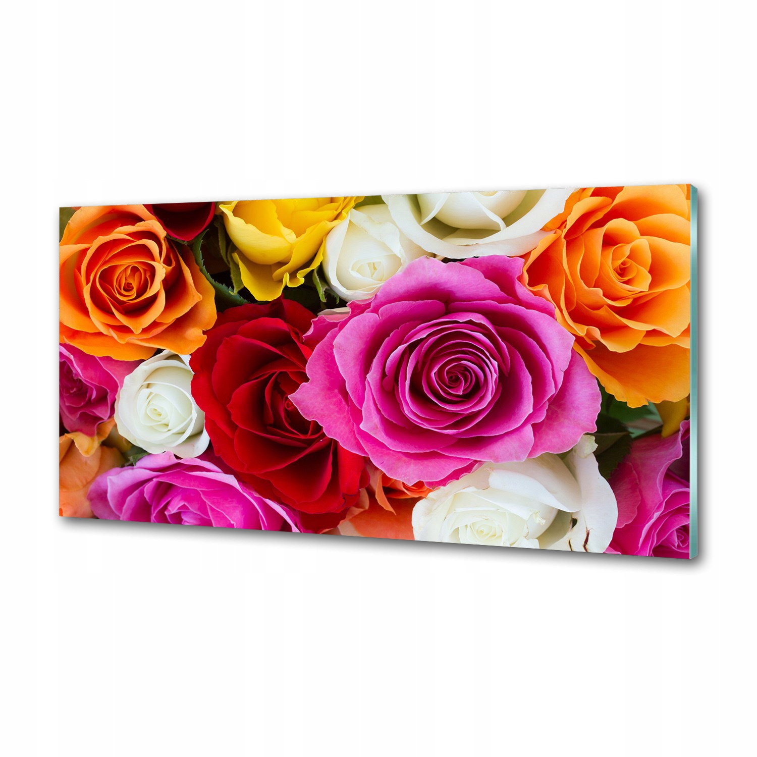 Panel do kuchyne Farebné ruže 120 x 60 cm Lepidlo