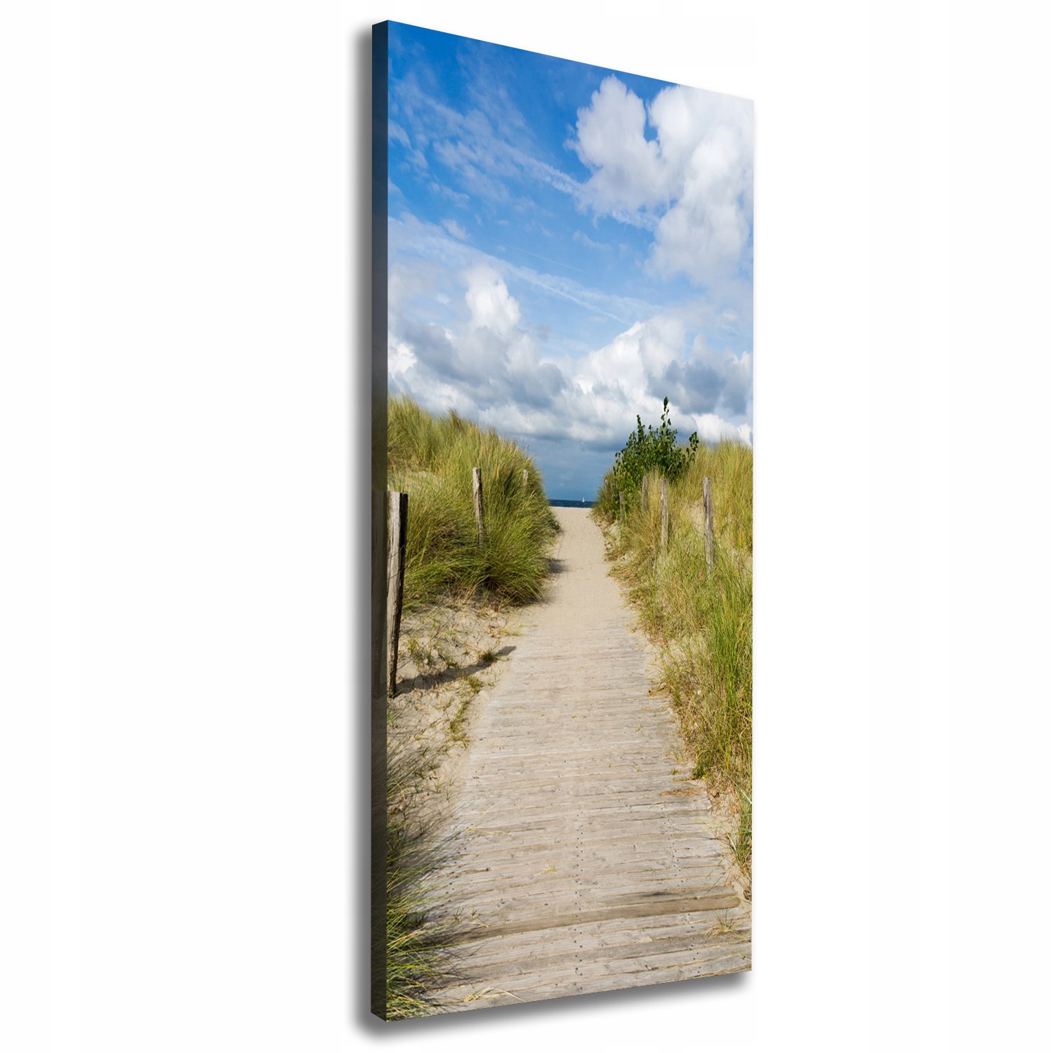 

Foto obraz na płótnie Ścieżka na plażę 50x125 cm