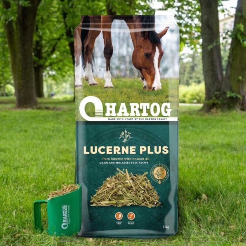 Sieczka Hartog Lucerna Plus Olej lniany 15 kg sieczka dla koni z olejem