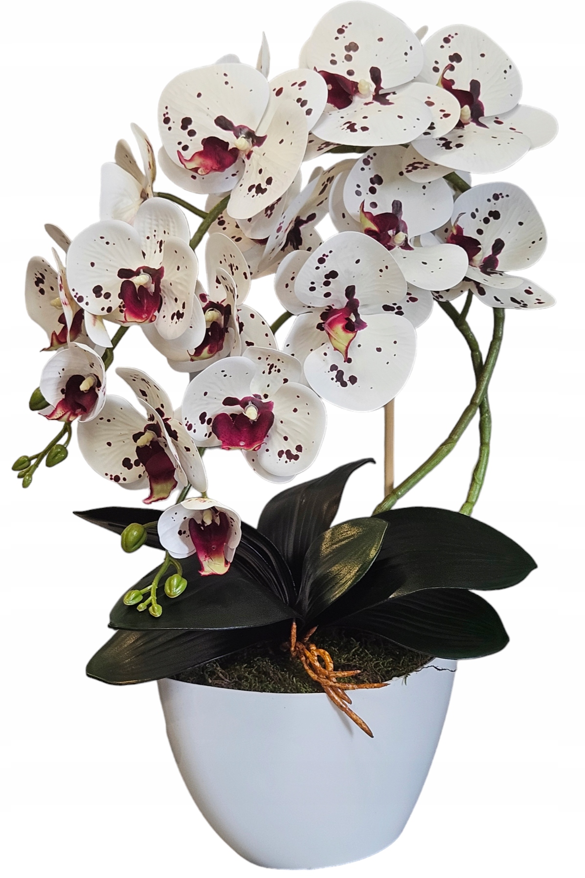 STORCZYK SZTUCZNY KWIATY ORCHIDEA 3P guma jak żywy EAN (GTIN) 5905342267492
