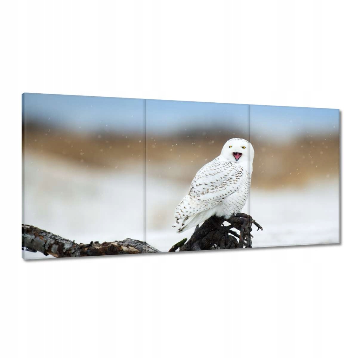 Obrazy 180x90 Vtáky Vtáky