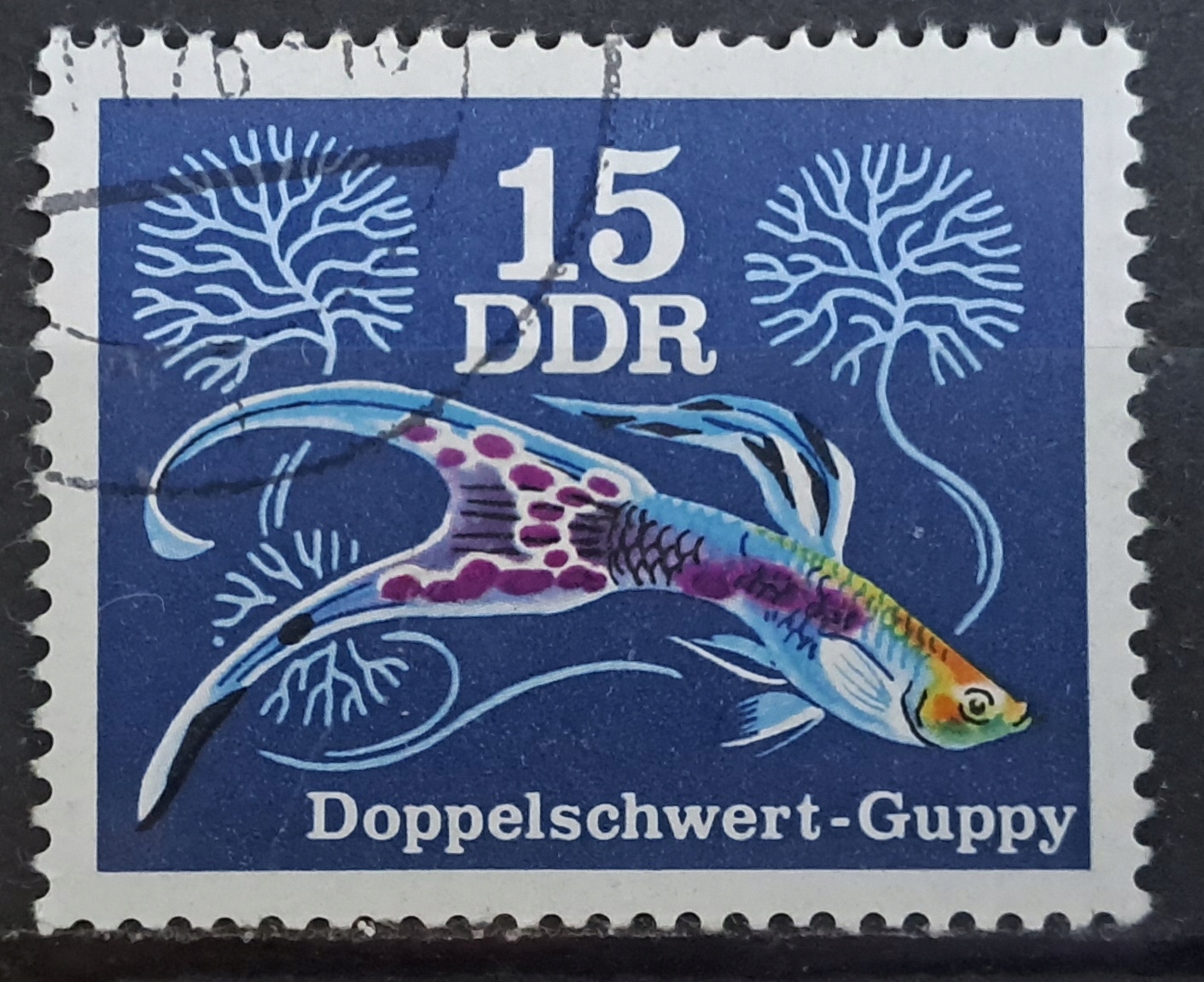 Ryby (kas) - luzak - do uzupełnień 13/6