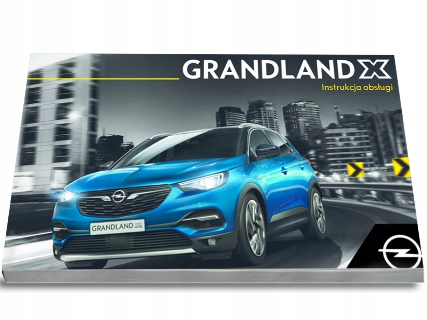 Opel Grandland X 2017-21 Instrukcja Obsługi