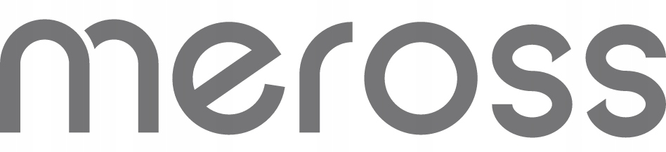 MEROSS INTELIGENTNA LISTWA ZASILAJĄCA WIFI ZEWNĘTRZNA IP44 HOMEKIT GNIAZDKO Rodzaj gniazdko