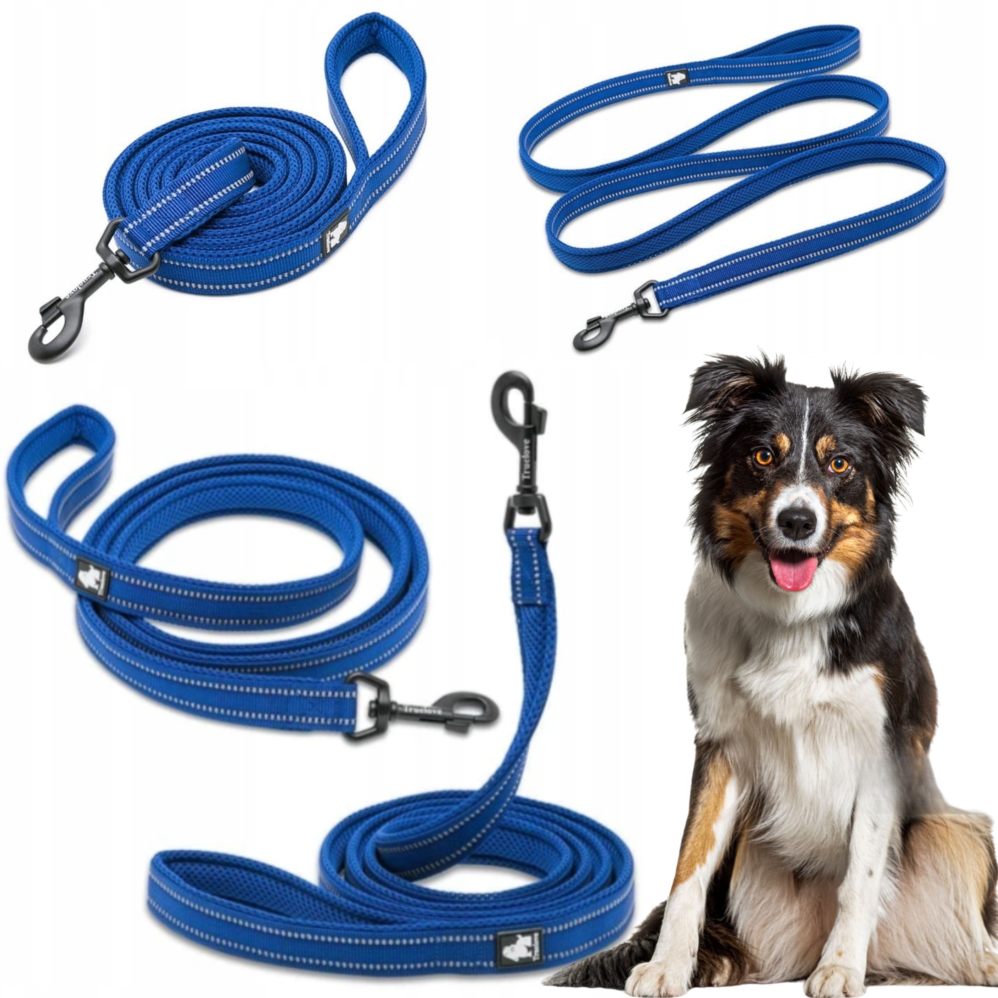Levně Vodítko Pro Psa Reflexní Silná Truelove Active Tmavě Modrá 200 CM, Velikost M