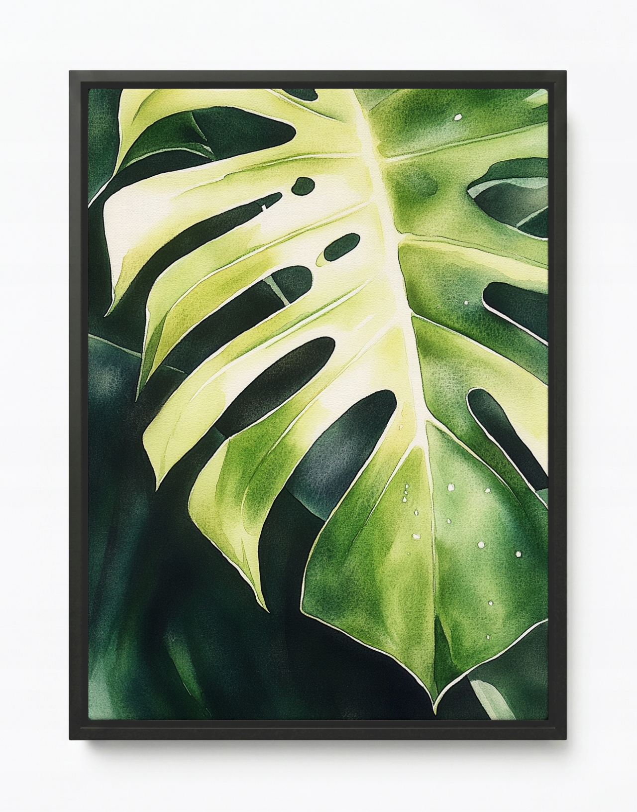Obraz Rám Americký Box Rostlina Zelená List Monstera Filodendron 60x80