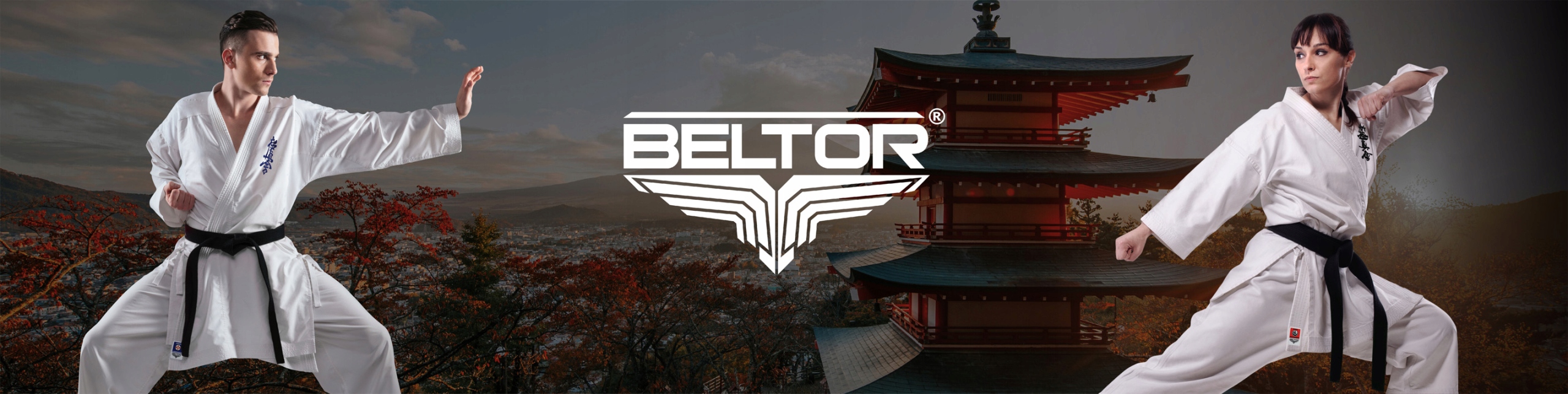 BELTOR TATAKAI PAS DO KIMONA KARATE KYOKUSHINKAI NIEBIESKI 240 PRODUKT POLS Kod producenta B2606