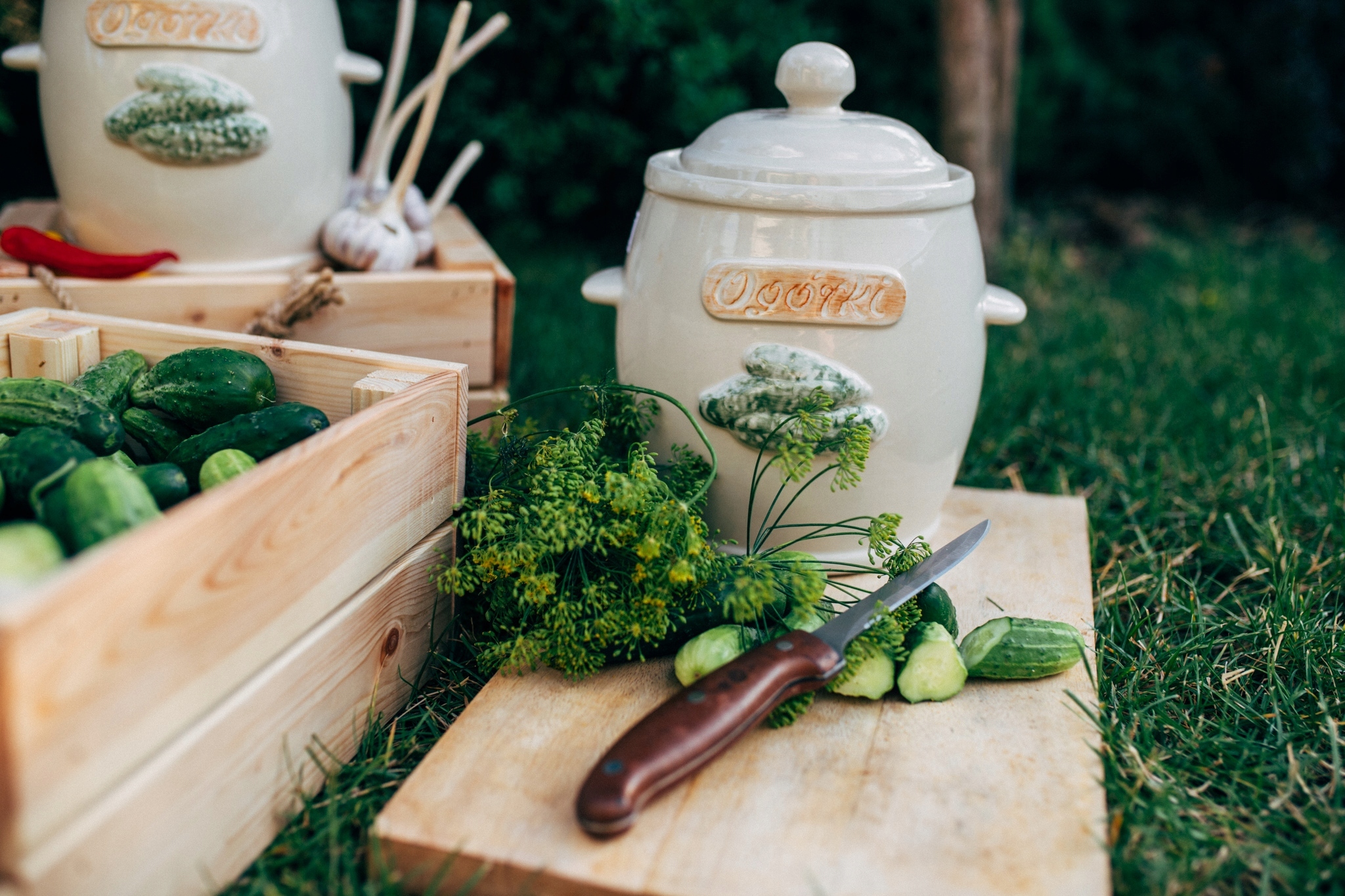 GARNEK NA OGÓRKI+POKRYWA KAMIONKA KISZENIE 5L KREM Rodzaj beczka
