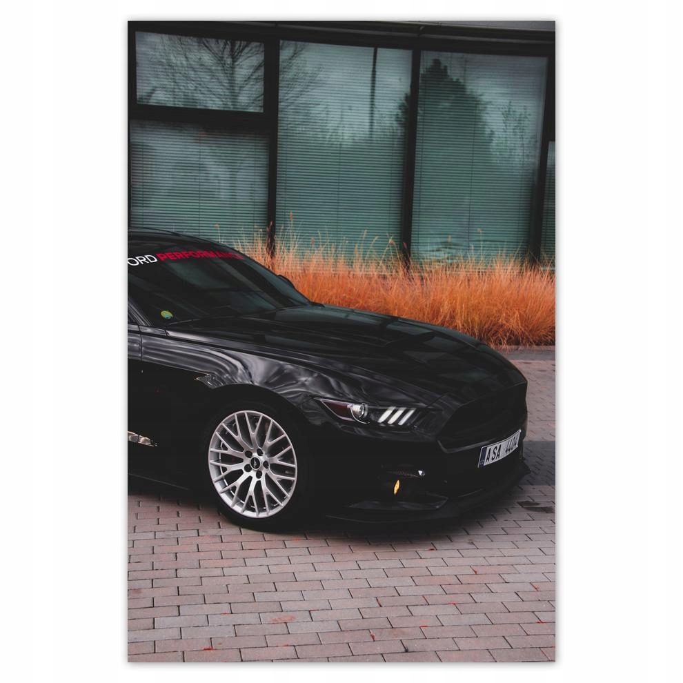 

Plakaty 40x60 Ford Mustang Samochód Usa