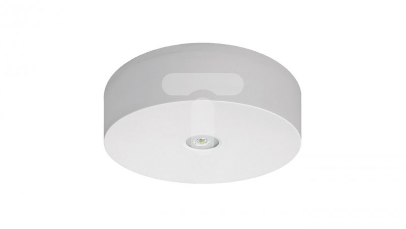 

Oprawa awaryjna Axn IP65 Eco Led 3W 310lm (opt. ot