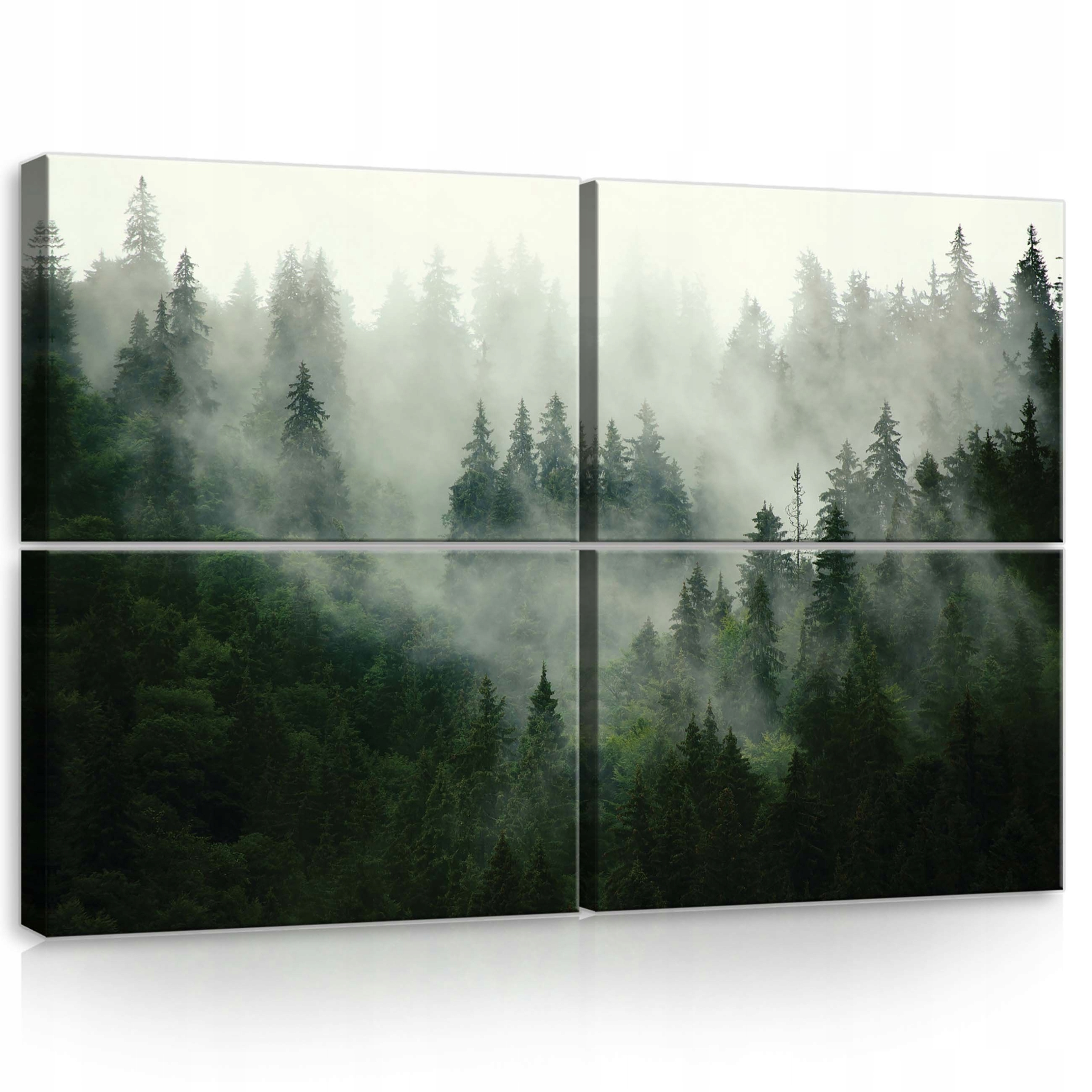 Obraz 120x80 Mlžný les jehličnatý příroda mystika klid ticho