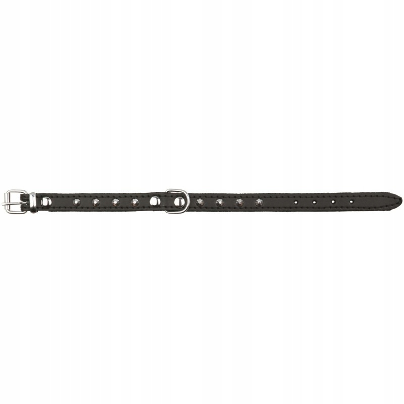 

Trixie Obroża Basic Ćwieki (M) 36-41 cm/18 mm czar