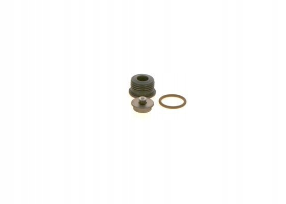 РЕМОНТНЫЙ КОМПЛЕКТ COMMON RAIL F 00N 201 244 BOSCH