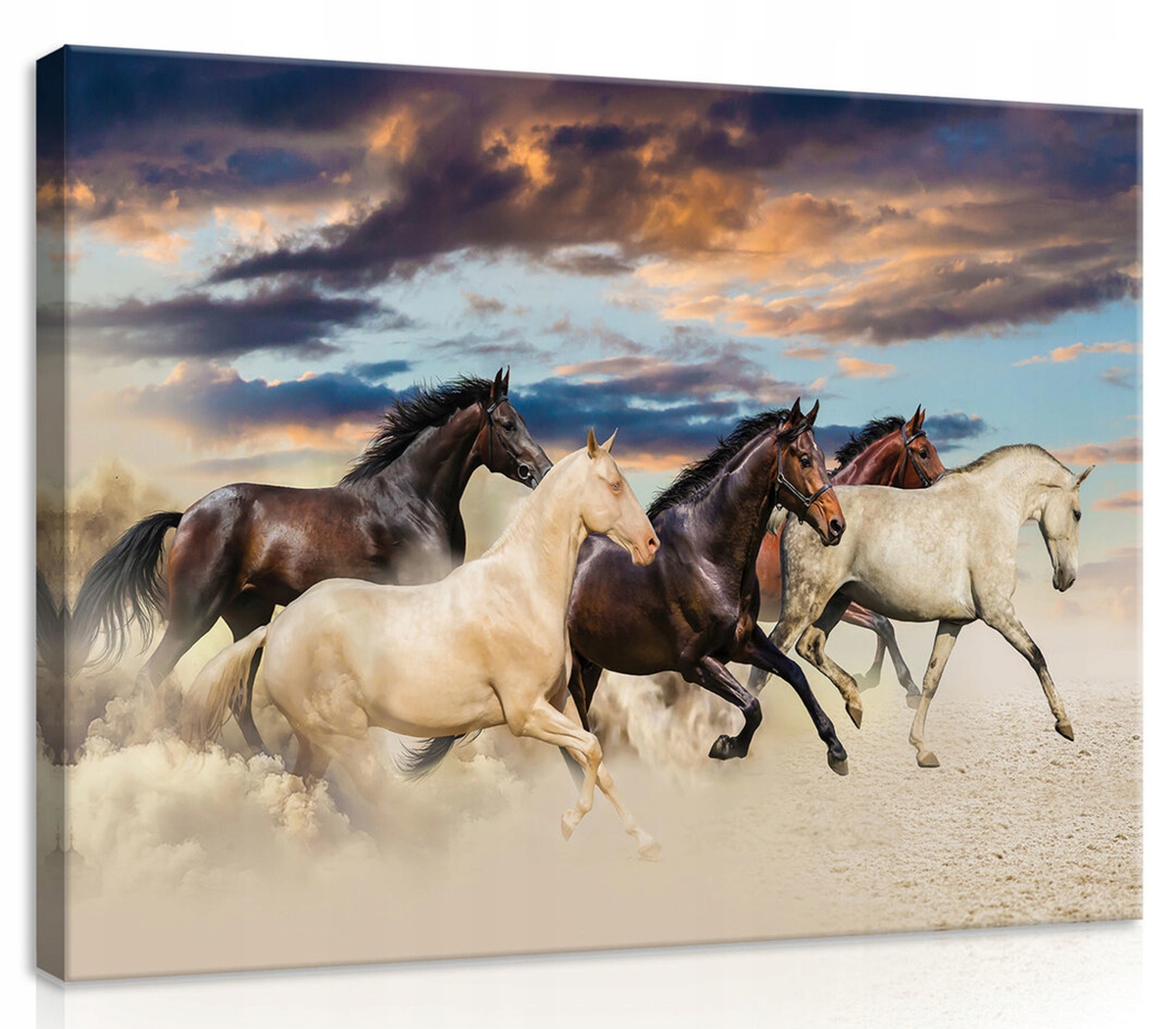 Obraz Na Plátně Canvas 100x75 Kůň Koně Cval