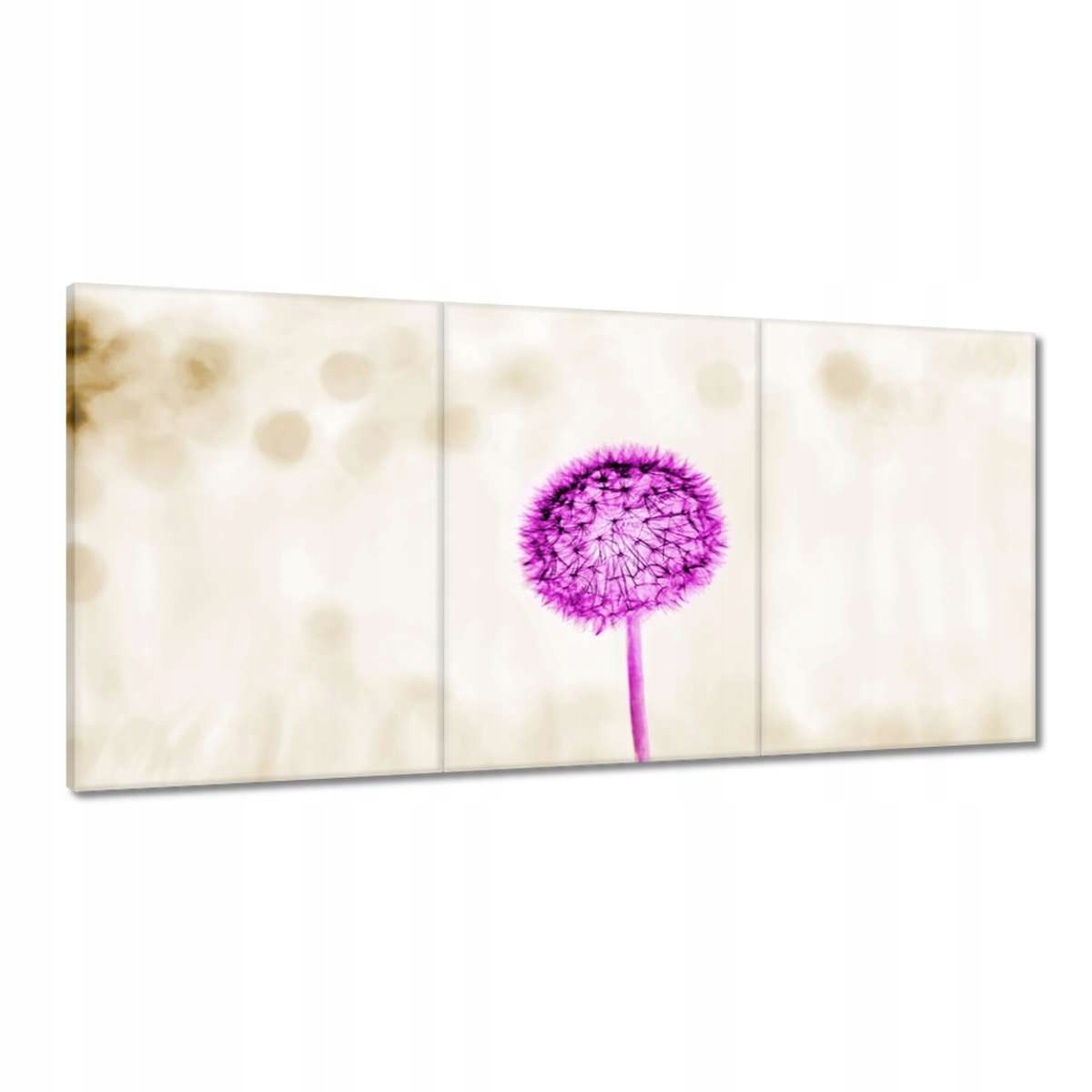 Obrazy 180x90 Fialový Púpava