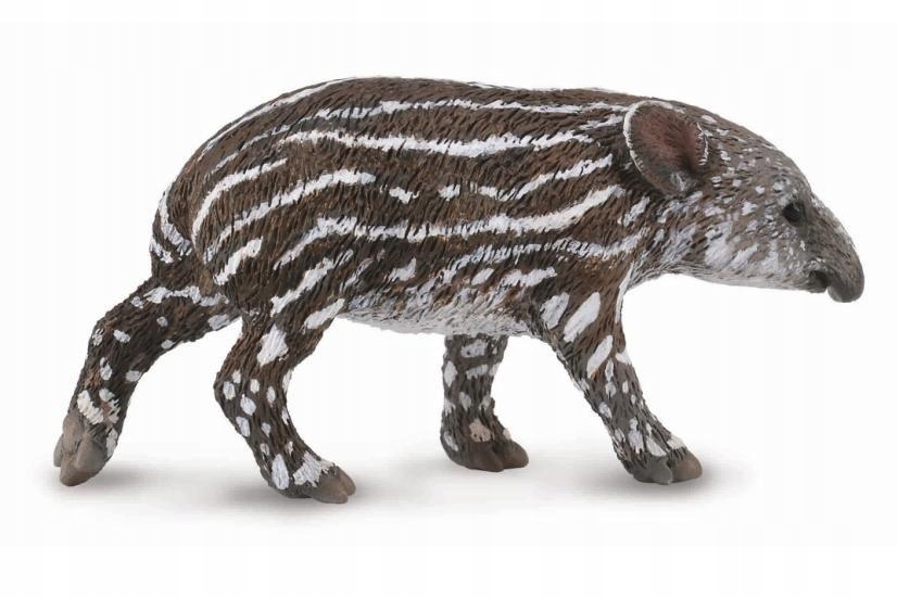 

Tapir Cielę Bairda