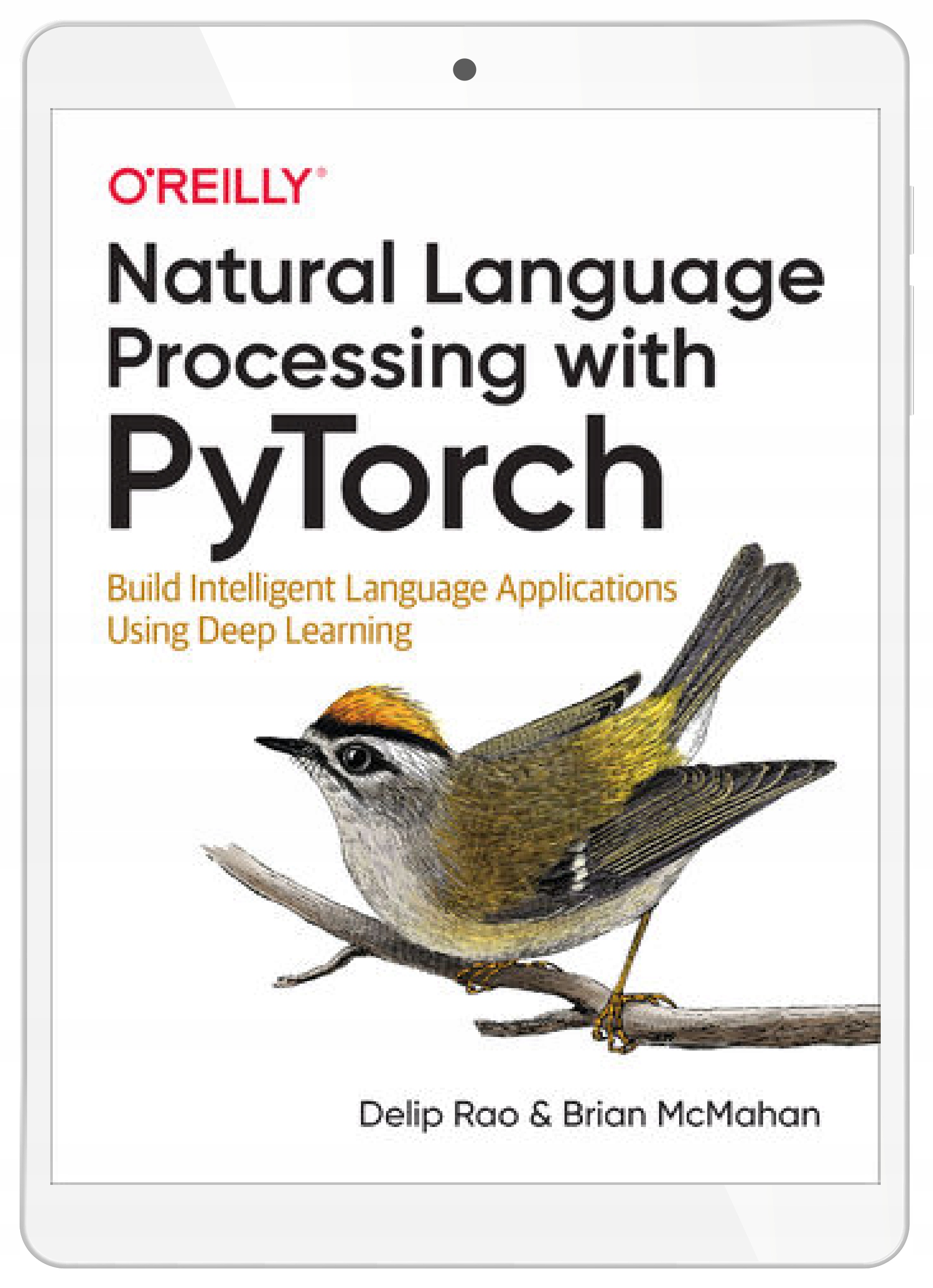 Natural Language Processing with PyTorch. Build
