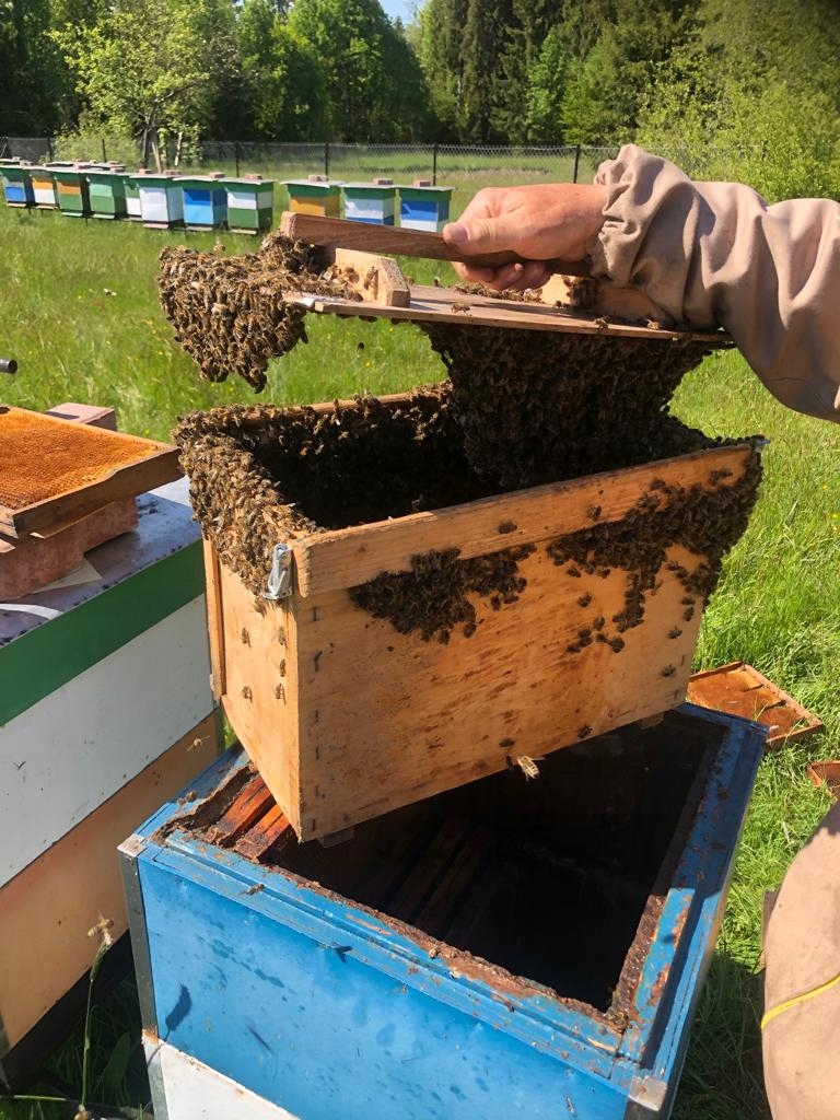Alt