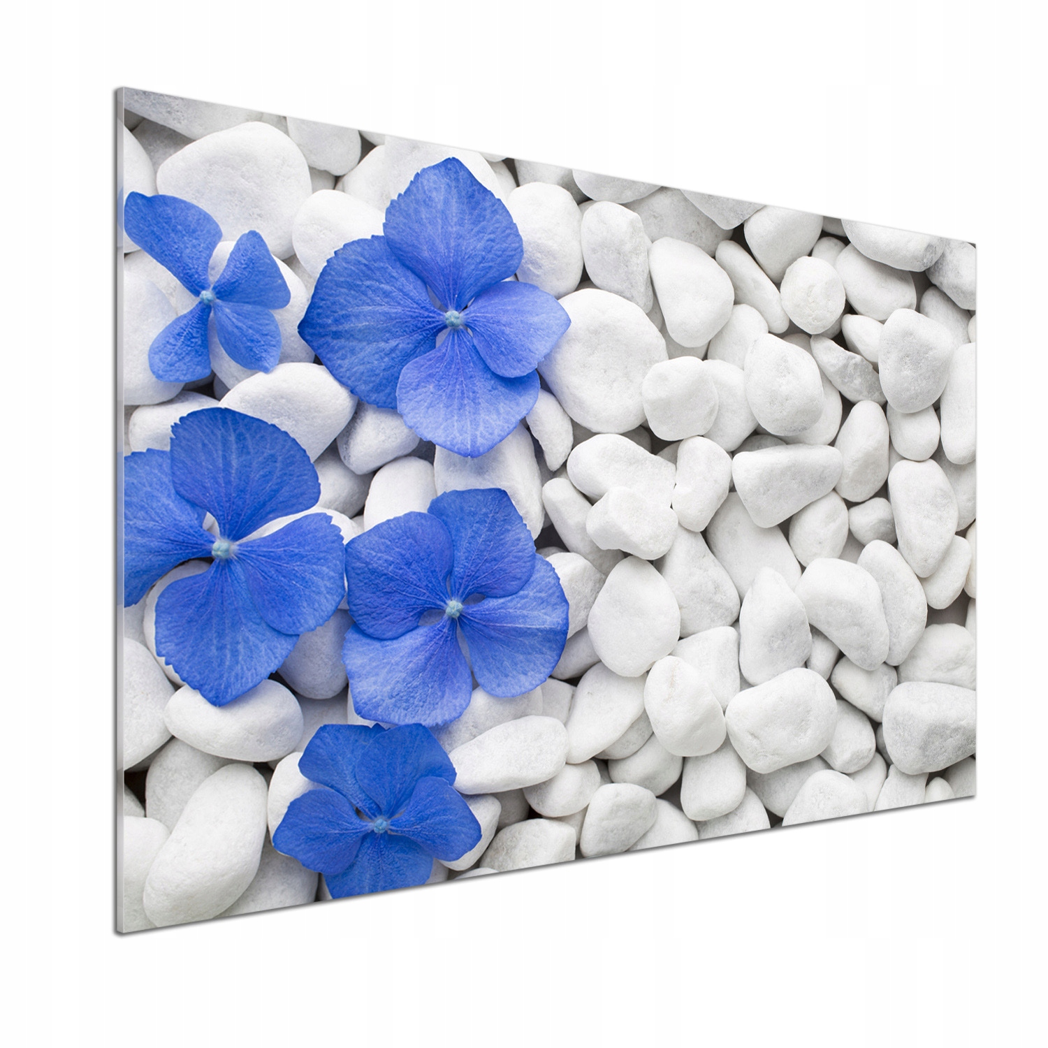 Panel medzi nábytkom v kuchyni Hortenzia 100x70 Lepidlo