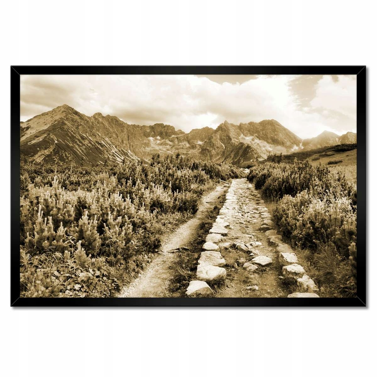 Plakáty v rámu 60x40 Tatry Polské hory Pohled
