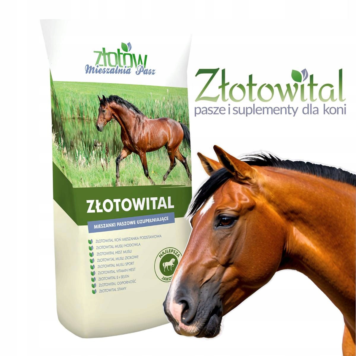 Pasza Złotowital mieszanka podstawowa pełnoporcjowa karma dla koni i kuców