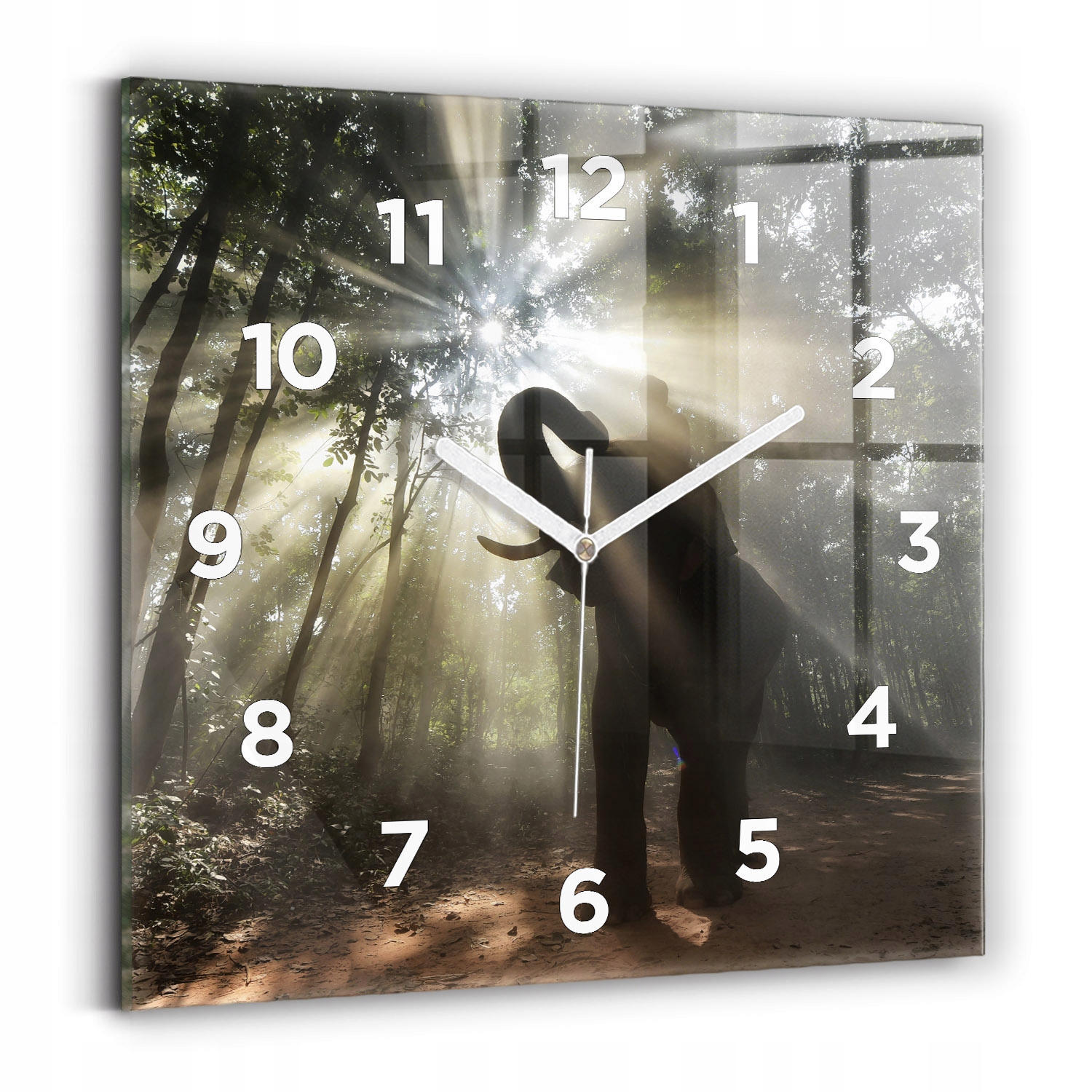 Designové čtvercové foto skleněné hodiny do interiéru Slon v džungli 30x30 cm