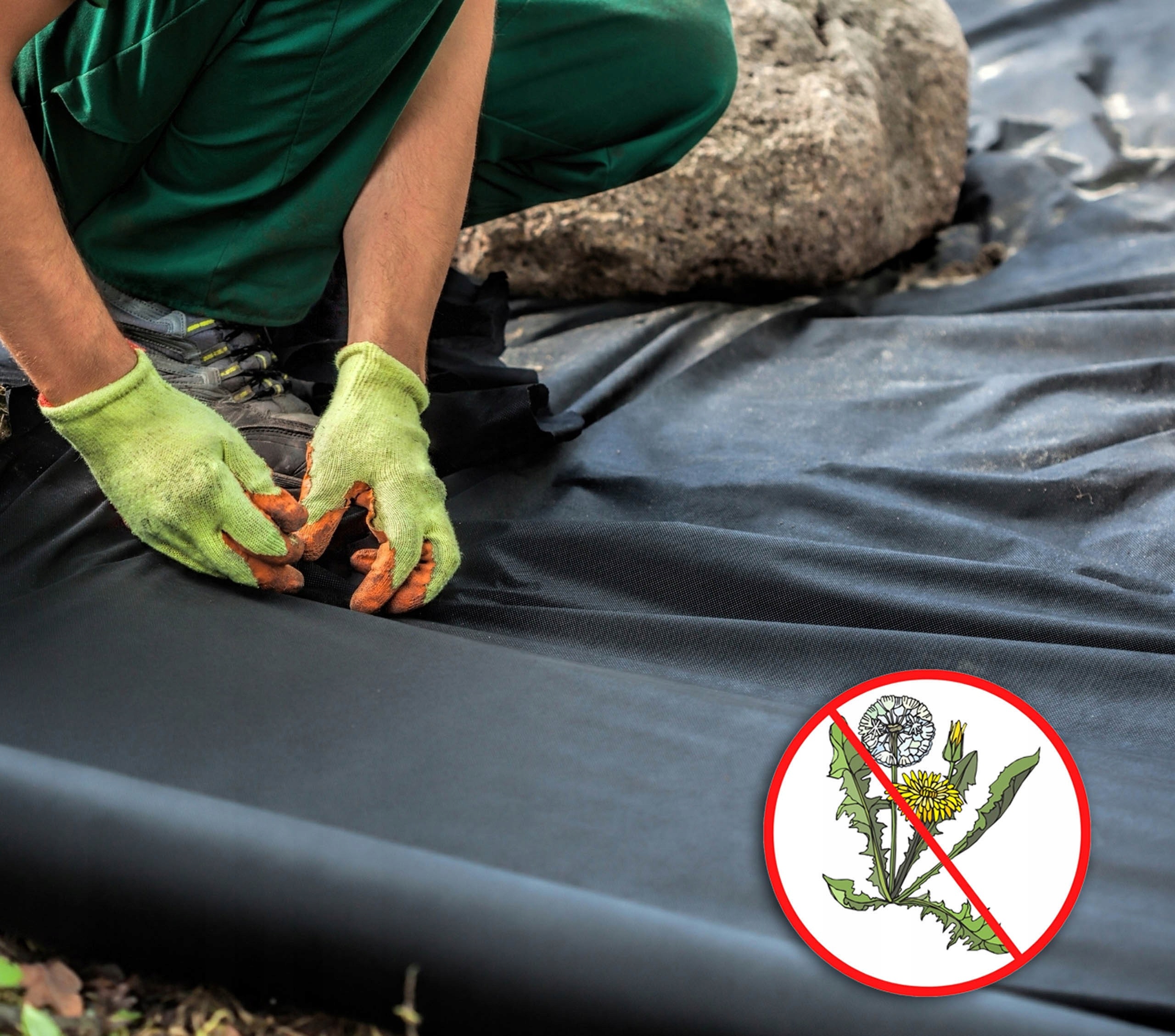 AGROWŁÓKNINA CZARNA 1,6m 50g UV 20m Bellushortus Producent Ogrodowy Młyn